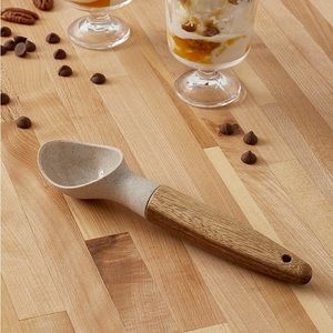 Eco Friendly Ice Cream Scoop